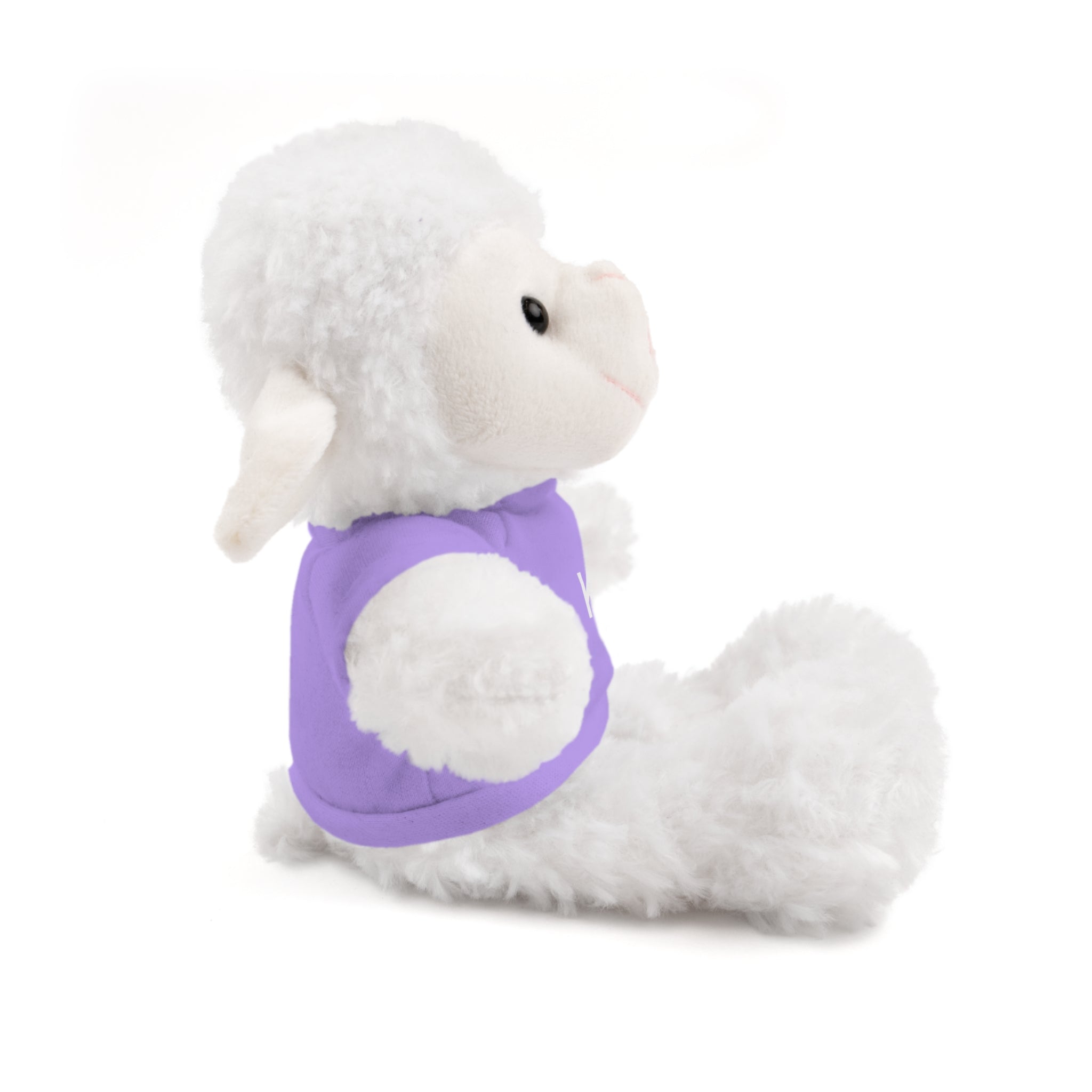 Customizable Stuffed Animal with T-Shirt - Adorable Gift for Kids